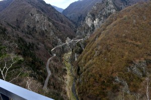 Cetatea Poienari (15)