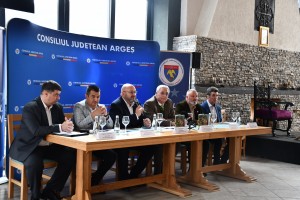 Cetatea Poienari (5)