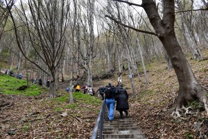 Cetatea Poienari (7)