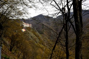 Cetatea Poienari (8)