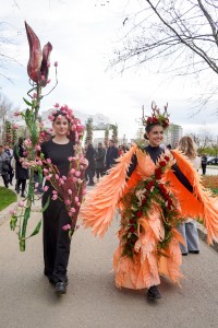 Simfonia Lalelelor 2025 aprilie (12)