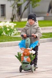 Simfonia Lalelelor 2025 aprilie (20)