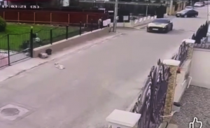 a lovit cu masina un caine (3)