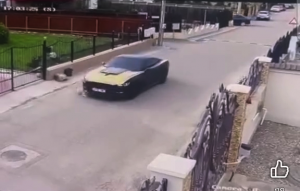 a lovit cu masina un caine (5)