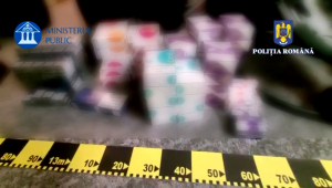 contrabanda tigari arges (2)