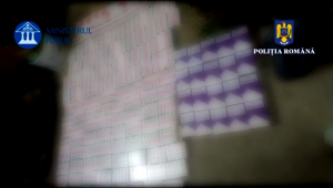 contrabanda tigari arges (4)