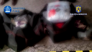 contrabanda tigari arges (7)