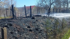 incendii-de-vegetație-11