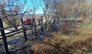 incendii-de-vegetație-5
