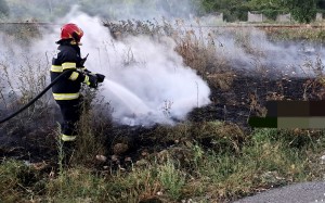 incendii-de-vegetație-uscată-arges-2