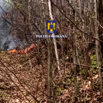 incendiu de pădure în Cetățeni (1)