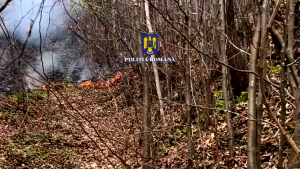 incendiu de pădure în Cetățeni (1)
