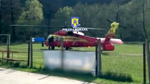 incendiu de pădure în Cetățeni (2)