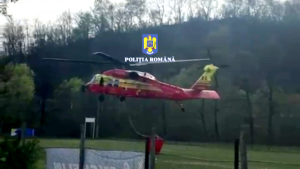 incendiu de pădure în Cetățeni (3)