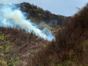 incendiu padure Cetățeni (3)
