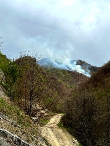 incendiu padure Cetățeni (4)