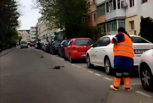 strada murdarita pitesti (3)