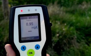 sub-influența-băuturilor-alcoolice