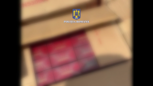 9 perchezitii contrabanda tigari arges (2)