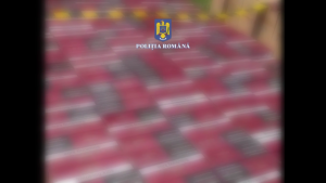 9 perchezitii contrabanda tigari arges (3)