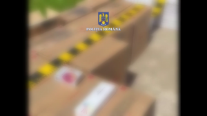 9 perchezitii contrabanda tigari arges (4)