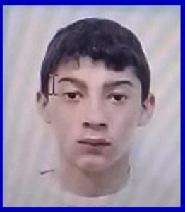 Minor plecat voluntar (2)