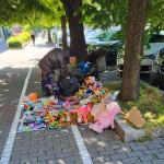Poliția Locală Pitești (2)