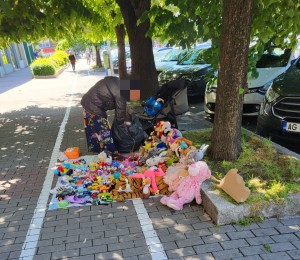 Poliția Locală Pitești (2)