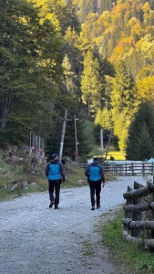 Rezultatele Jandarmeriei Argeș