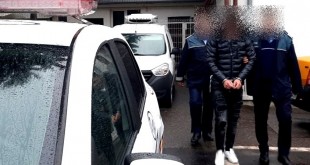 Tânăr de 18 ani, reținut