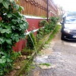 depozitare a deşeurilor menajere necorespunzătoare (1)