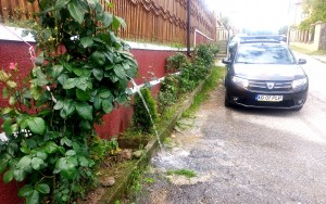 depozitare a deşeurilor menajere necorespunzătoare (1)