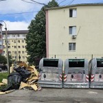 depozitare a deşeurilor menajere necorespunzătoare (3)