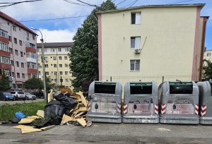depozitare a deşeurilor menajere necorespunzătoare (3)