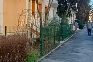 imprejumuirea ilegala a domeniului public