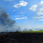 incendiu vegetatie merisani (3)