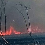 incendiu vegetatie merisani (5)