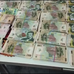 perdhezitii - delapidare (1)