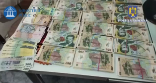 perdhezitii - delapidare (1)