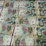 perdhezitii - delapidare (2)