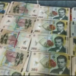 perdhezitii - delapidare (3)