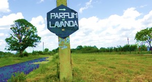 506528873_1033134888936568_5901175887504111192_n