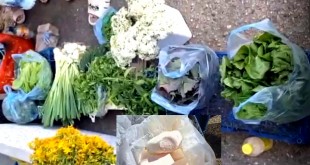 Controale - Piața Ceair din Pitești (2)