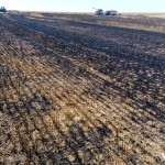 Incendiu izbucnit la o combină de treierat (1)