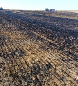 Incendiu izbucnit la o combină de treierat (1)