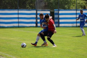 Lupii Profa meci (14)