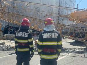 Macara căzută strada Smeurei (1)