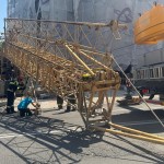 Macara căzută strada Smeurei (2)