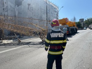 Macara căzută strada Smeurei (3)