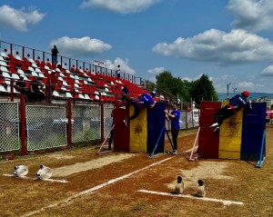 concursurile profesionale ale SPSU (17)